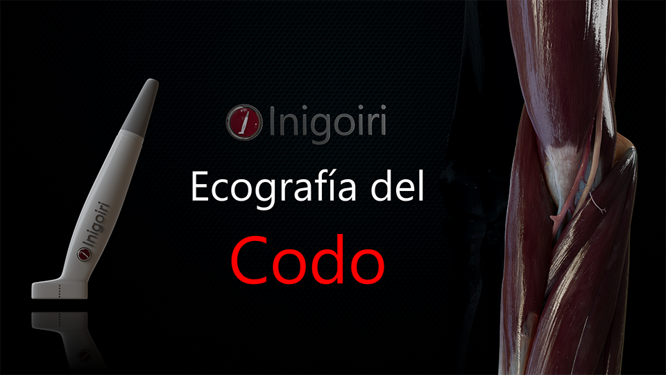 Ecografía del codo